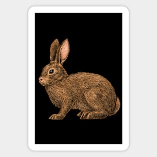 Rabbit 2 Magnet